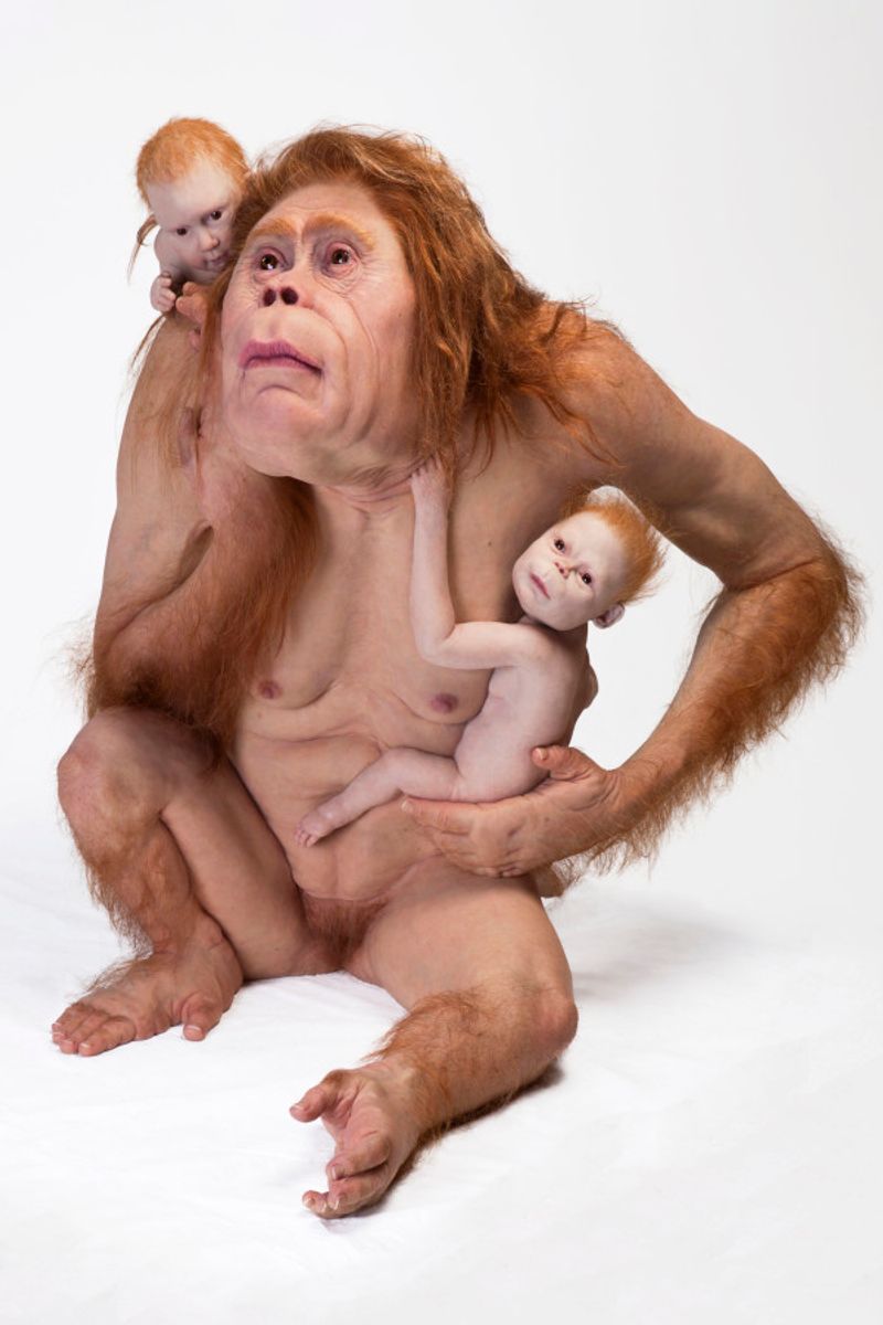 From so simple a beginning, endless forms most beautiful