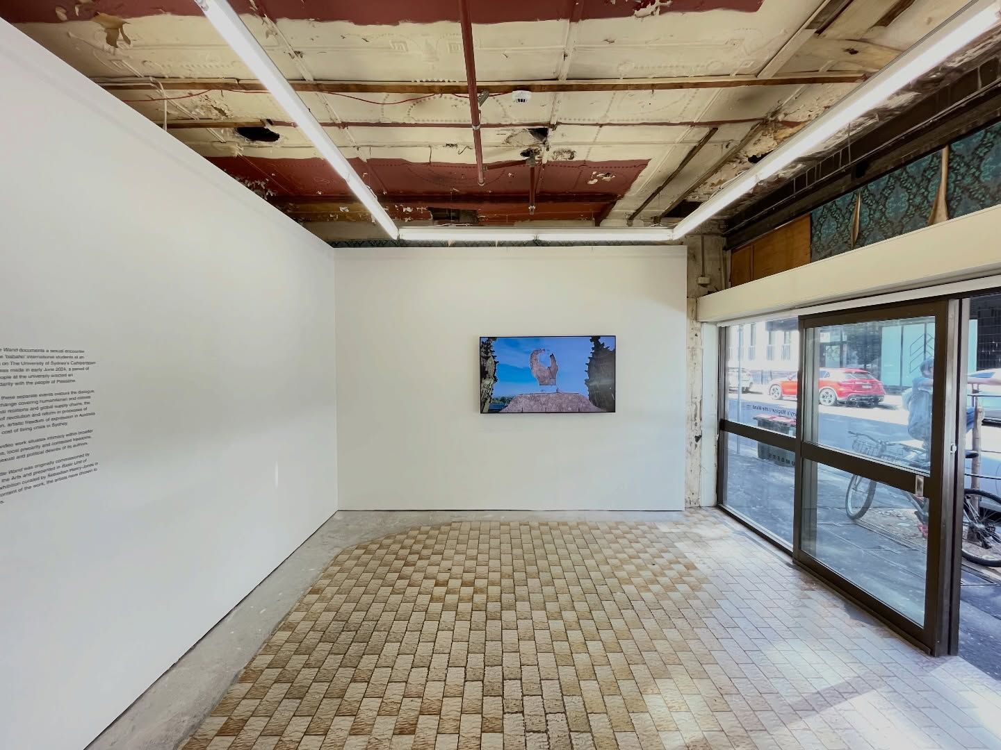 Harry's Magical Little Wand