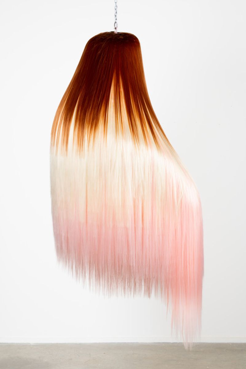 From so simple a beginning, endless forms most beautiful