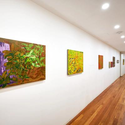 Distance between two orchids