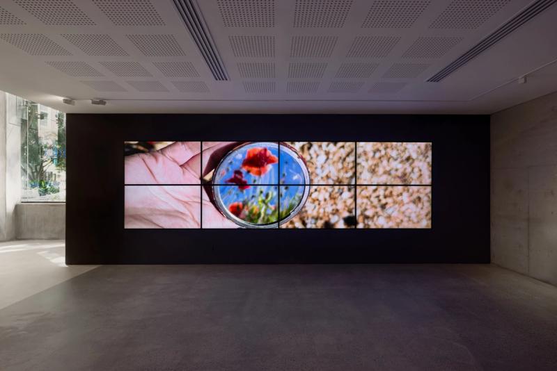 The Dream of the Mirror