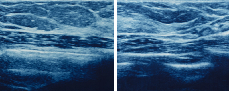 A river runs through