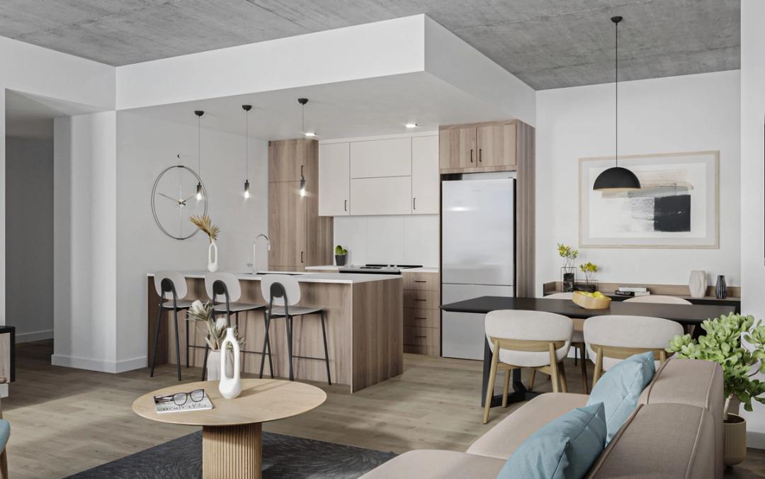 Architectural 3D rendering for IDA, Place de l'Orme