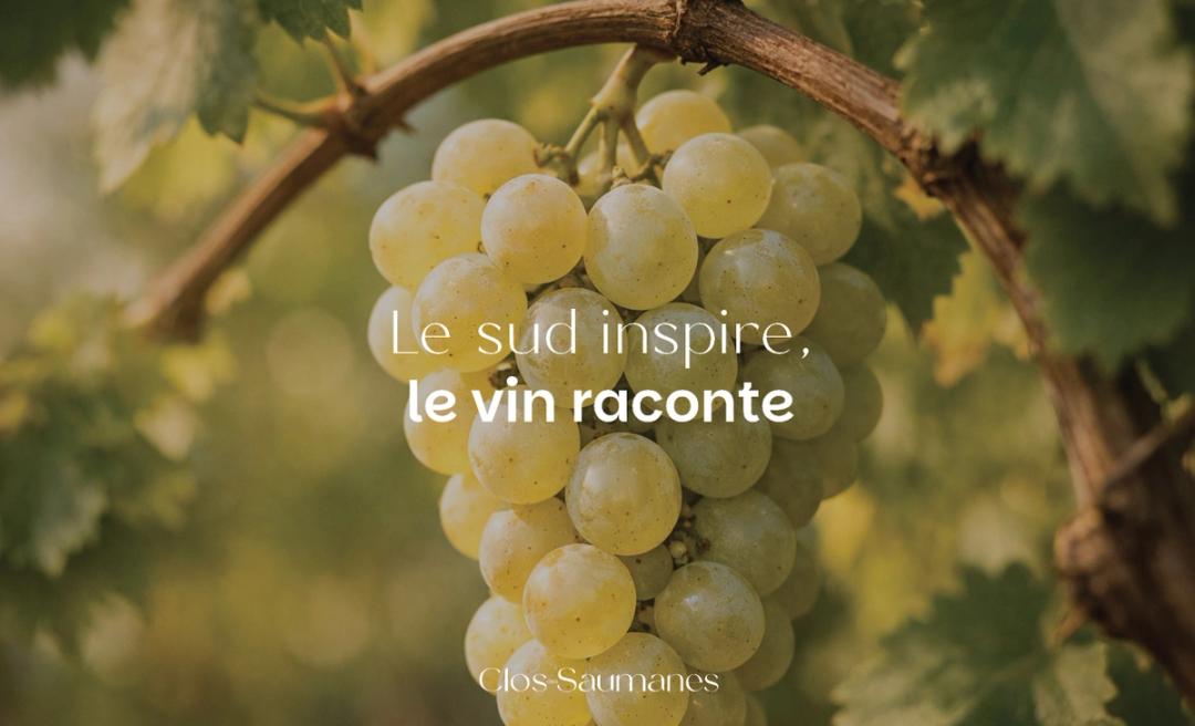Clos des Saumanes brand guidelines: a bunch of white grapes and the line “Le sud inspire, le vin raconte”