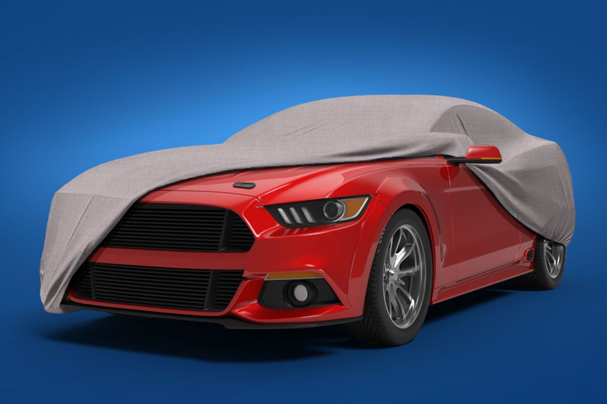 Protect The Mustang At All Costs