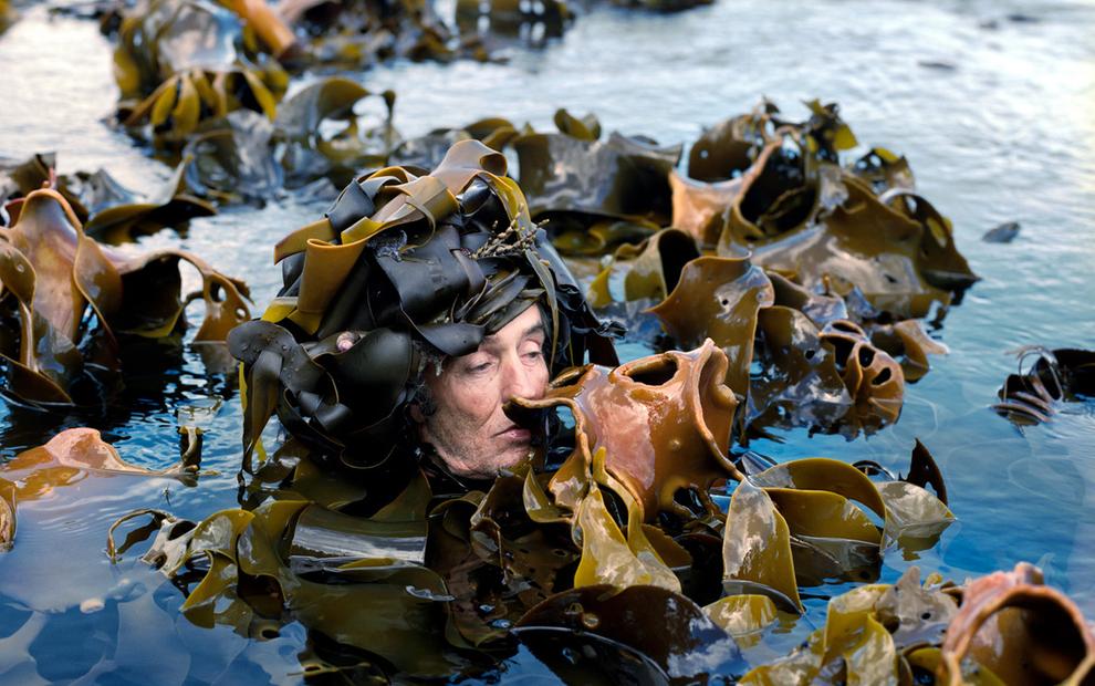 Collective Polyphony Festival: Macroalgae Mobilisation