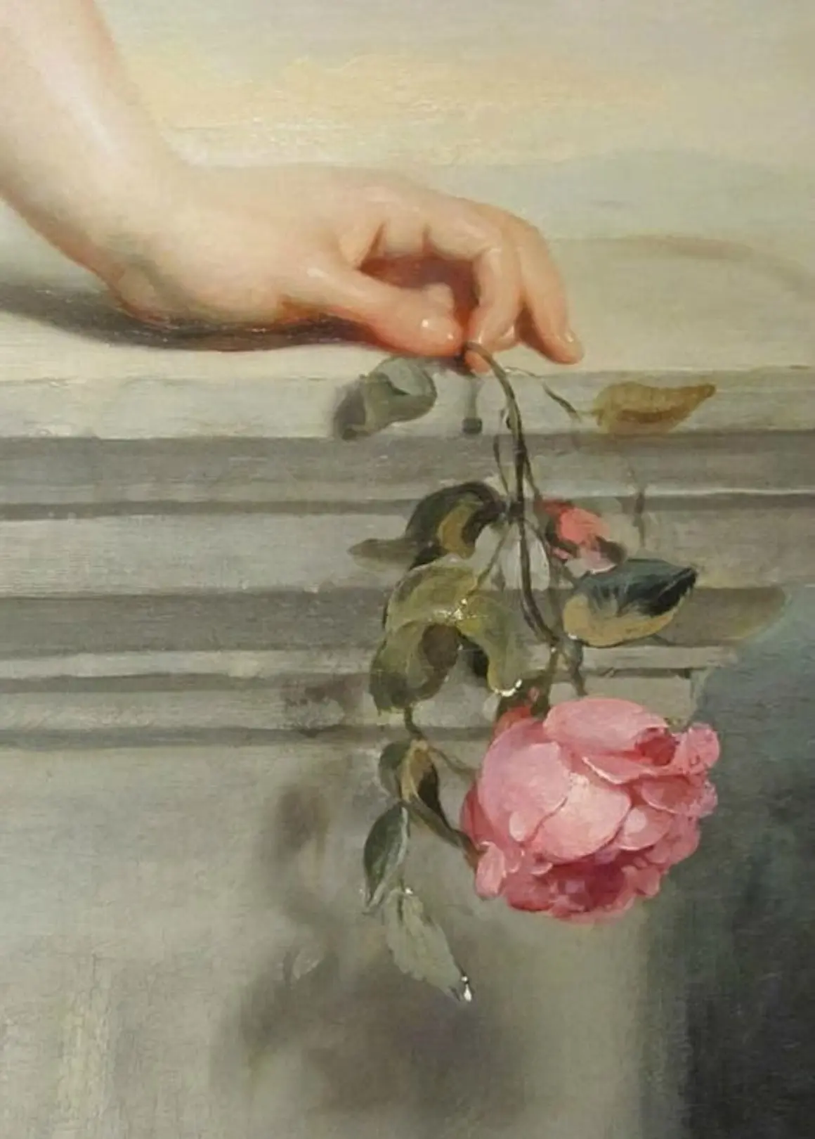Romantic Beauty cover image