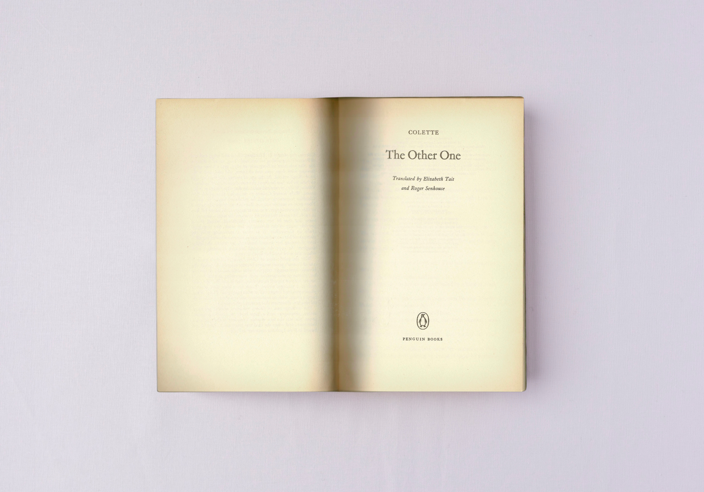 The Other One, frontispiece