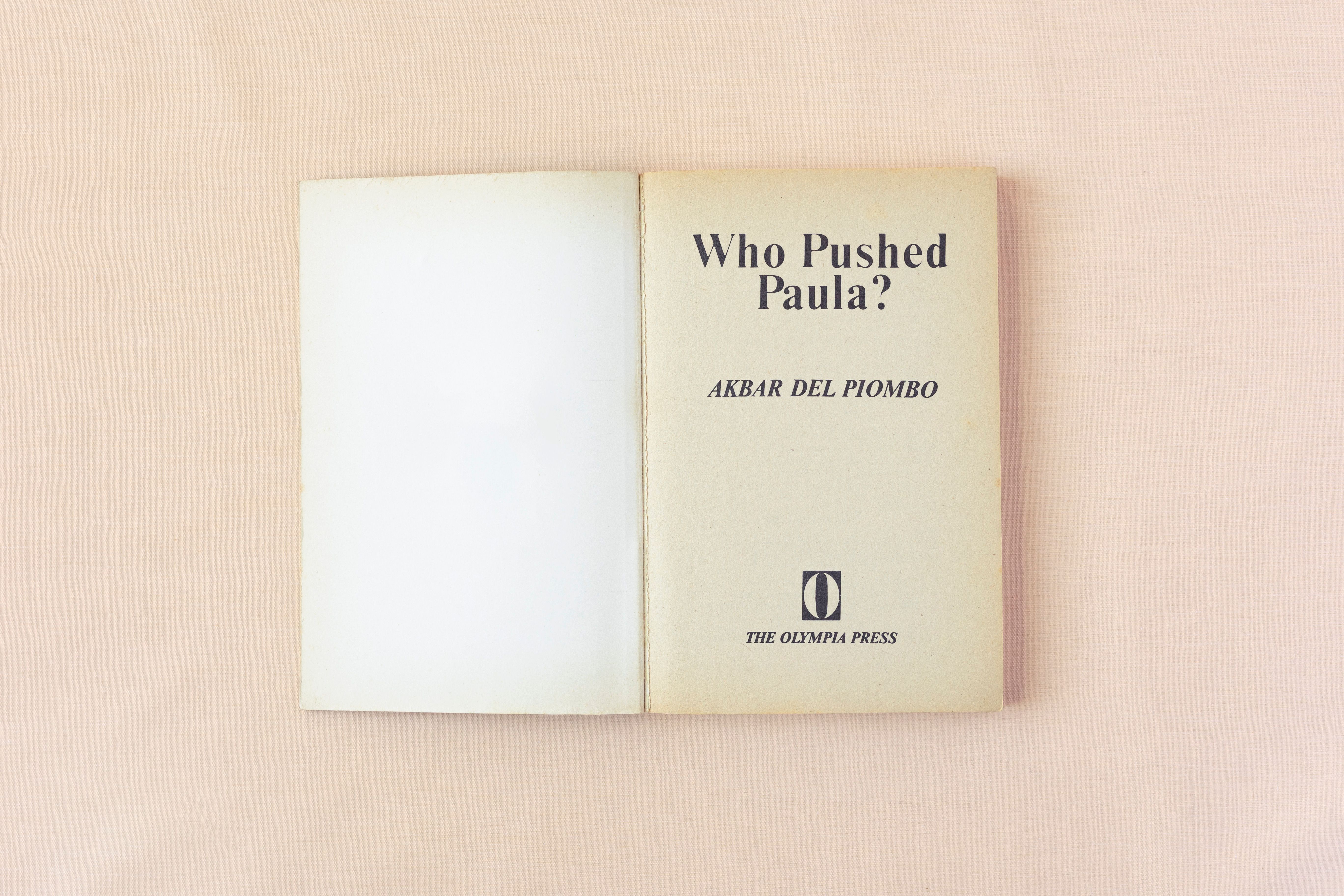 Who Pushed Paula, frontispiece
