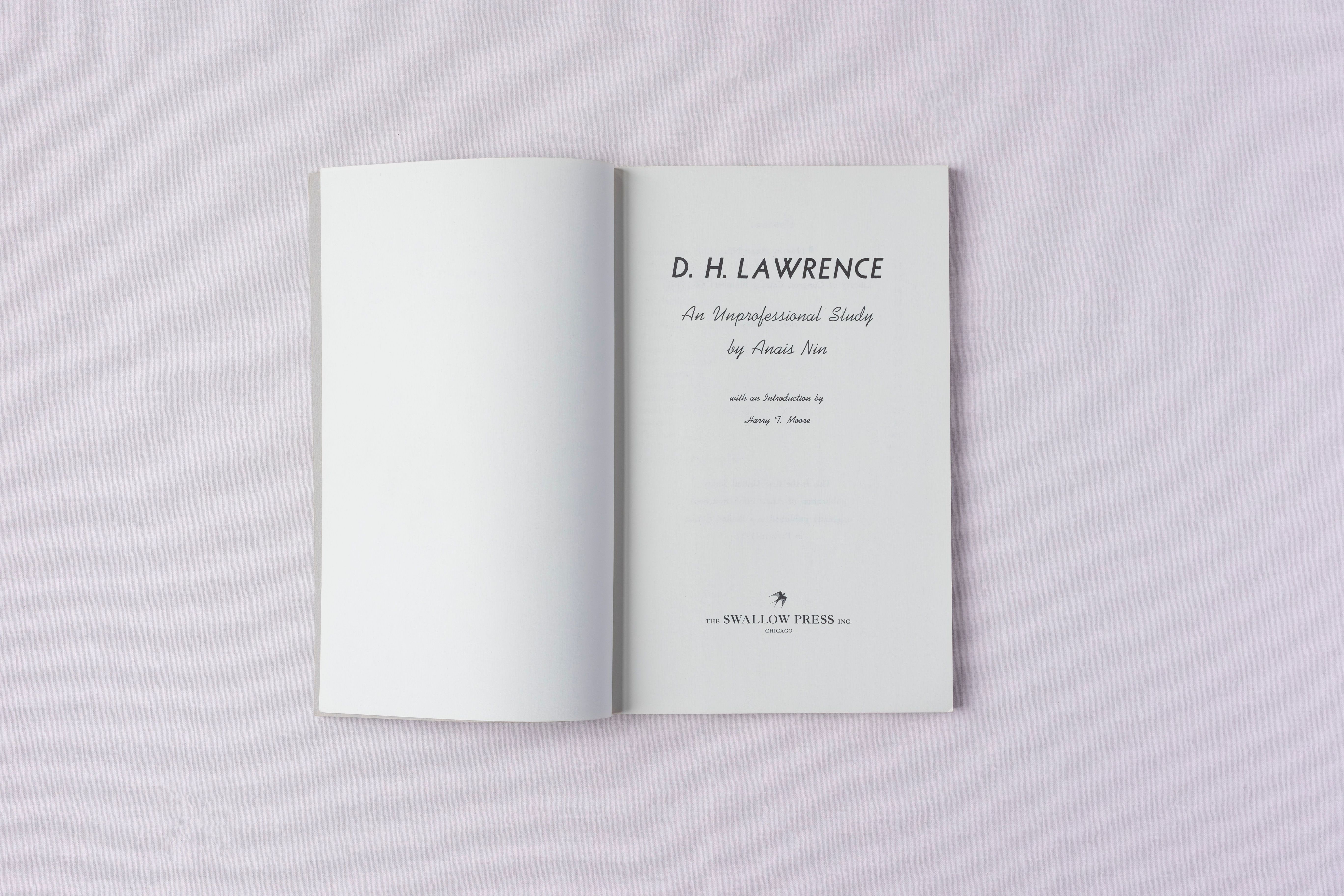 D.H. Lawrence: An Unprofessional Study, frontispiece