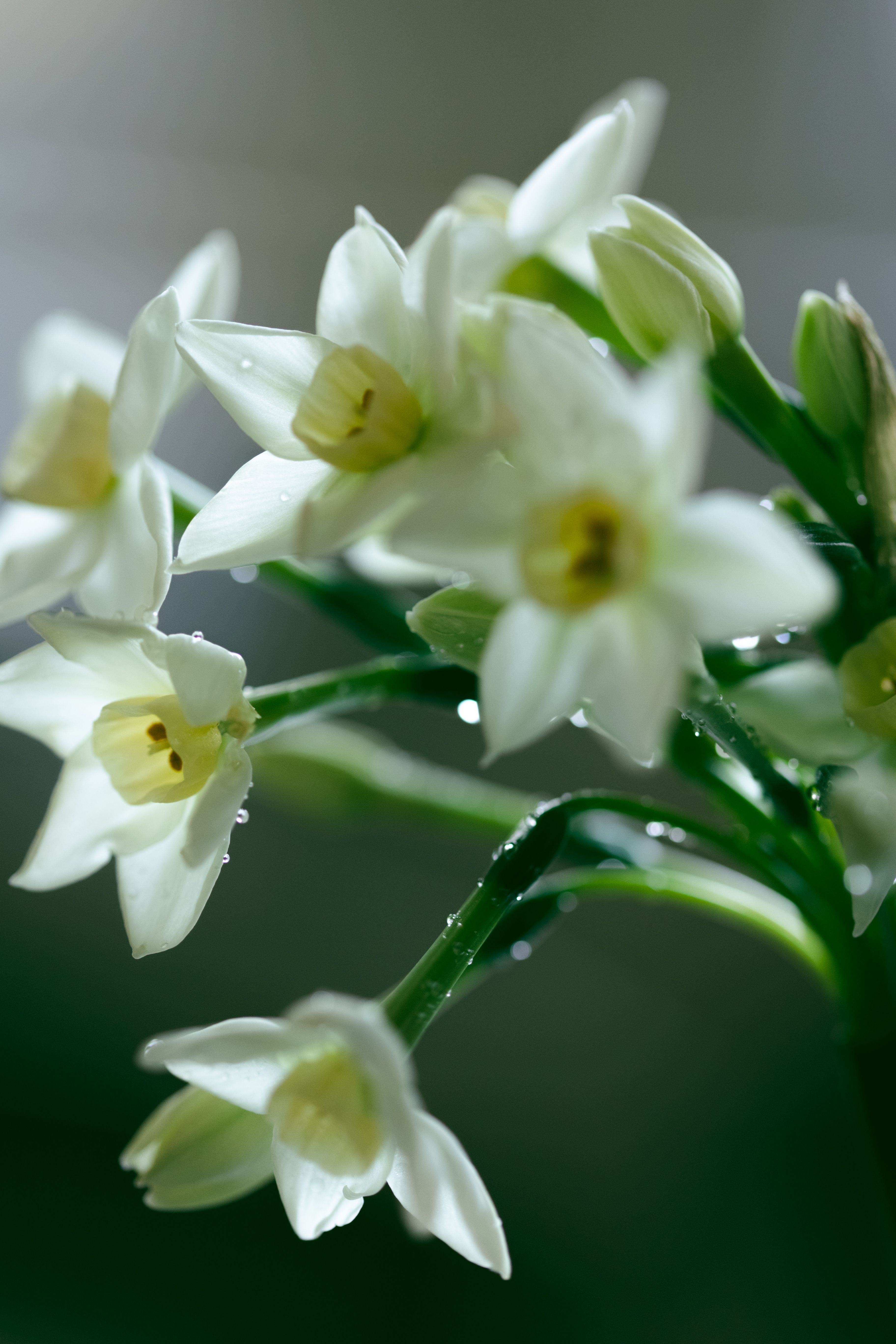 EN PLEIN AIR Roll-on Perfume Oil