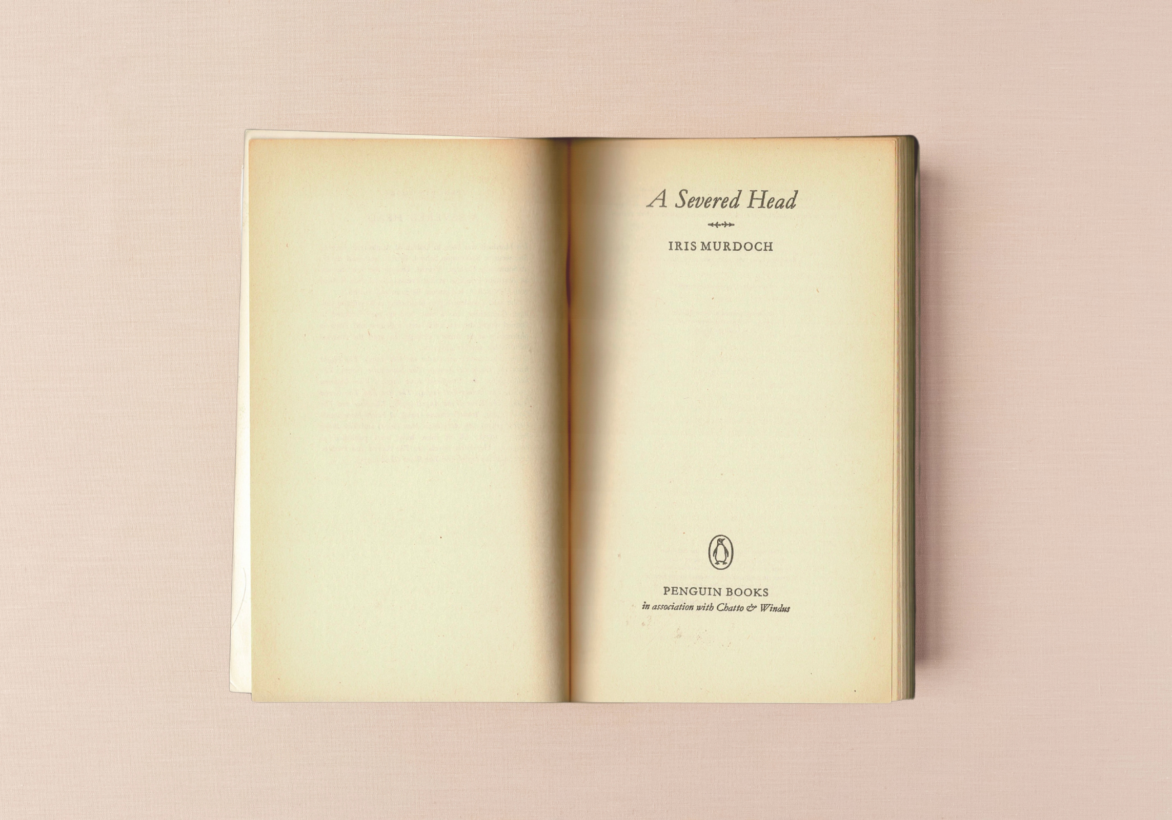 A Severed Head, frontispiece