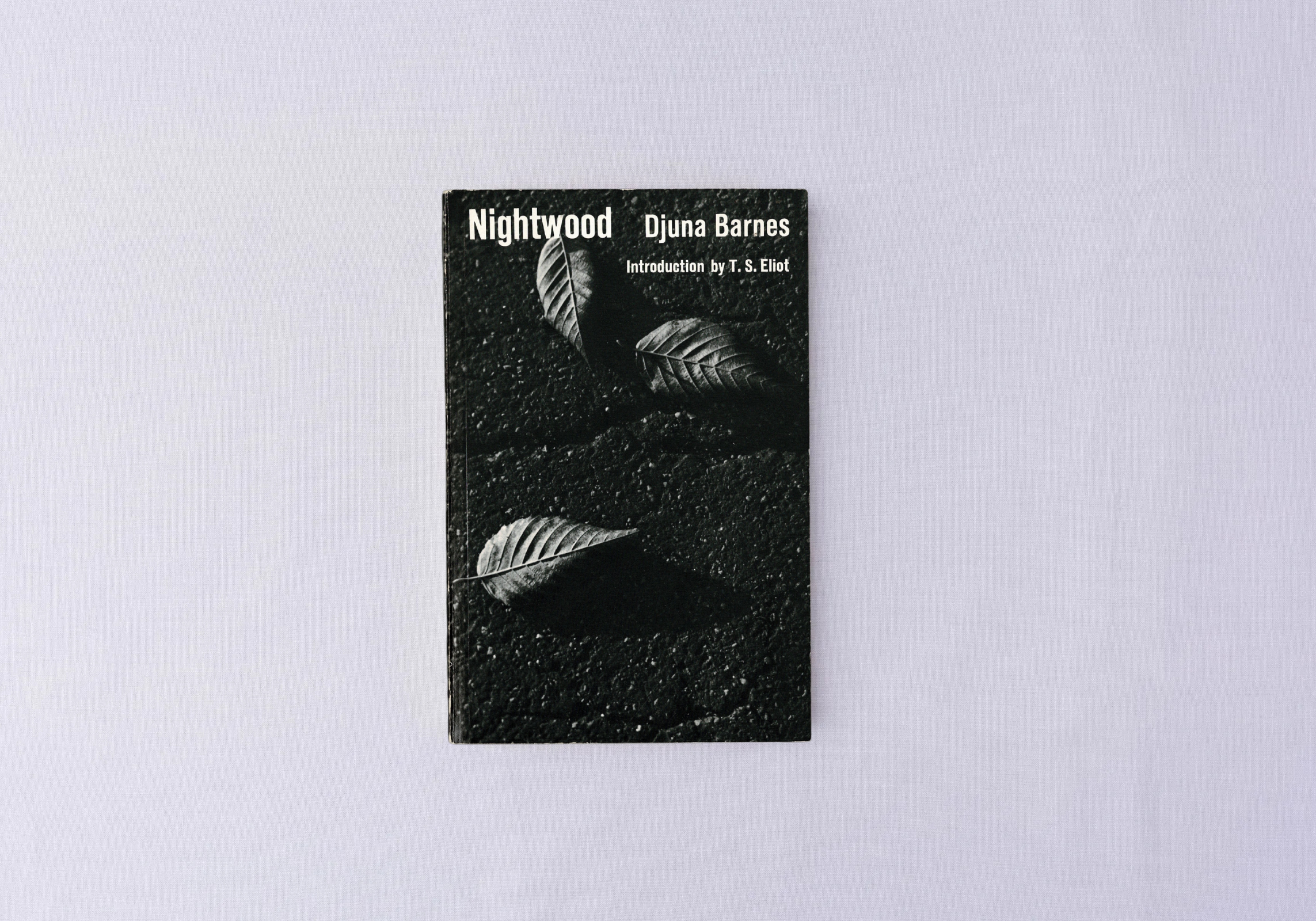 Nightwood by Djuana Barnes, front cover