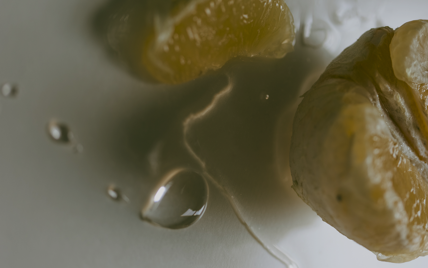 Photography by Sophie Jane Kirk