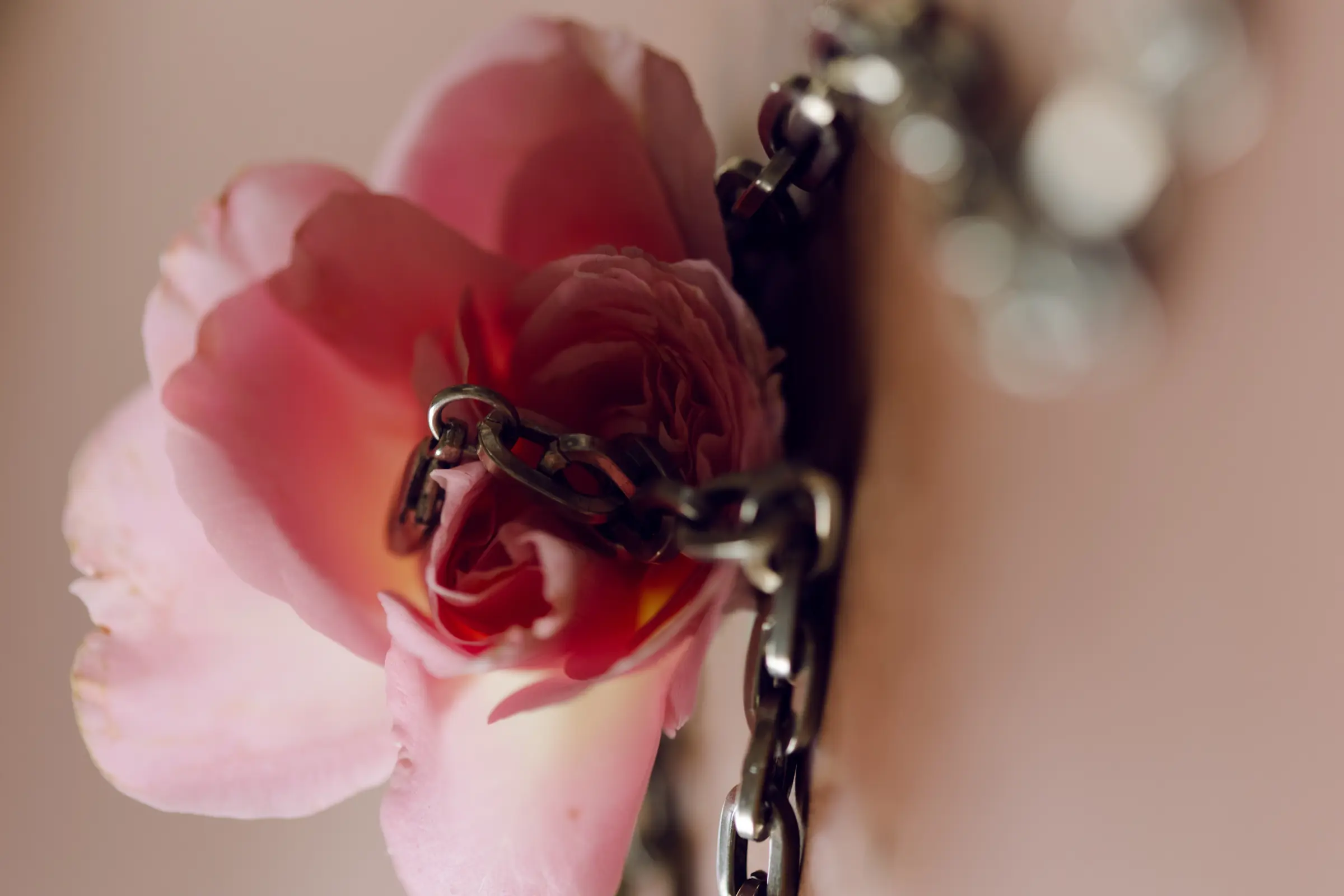 Rose and Steel Chains