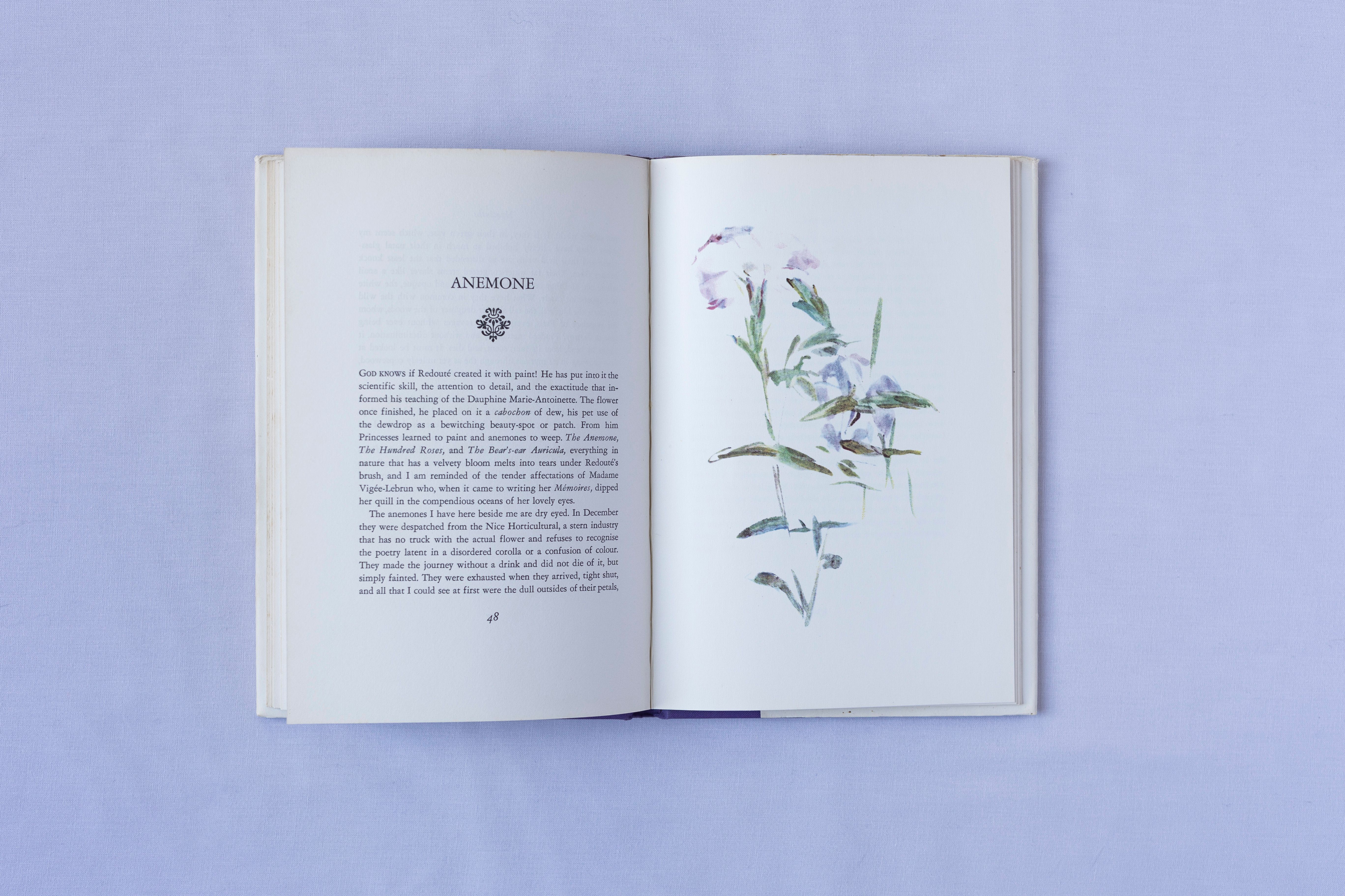 For a Flower Album, Interior Pages 