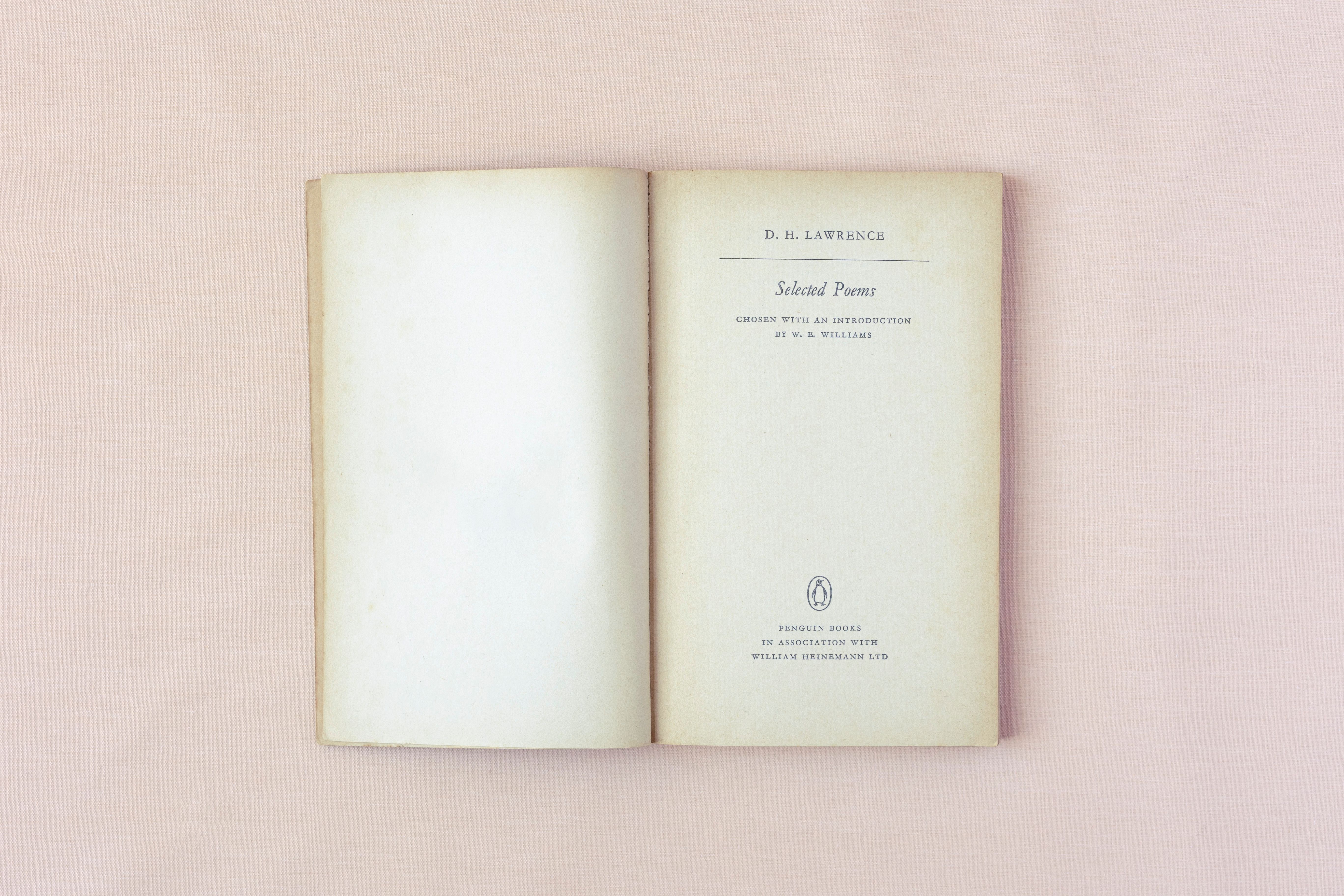 selected poems, frontispiece