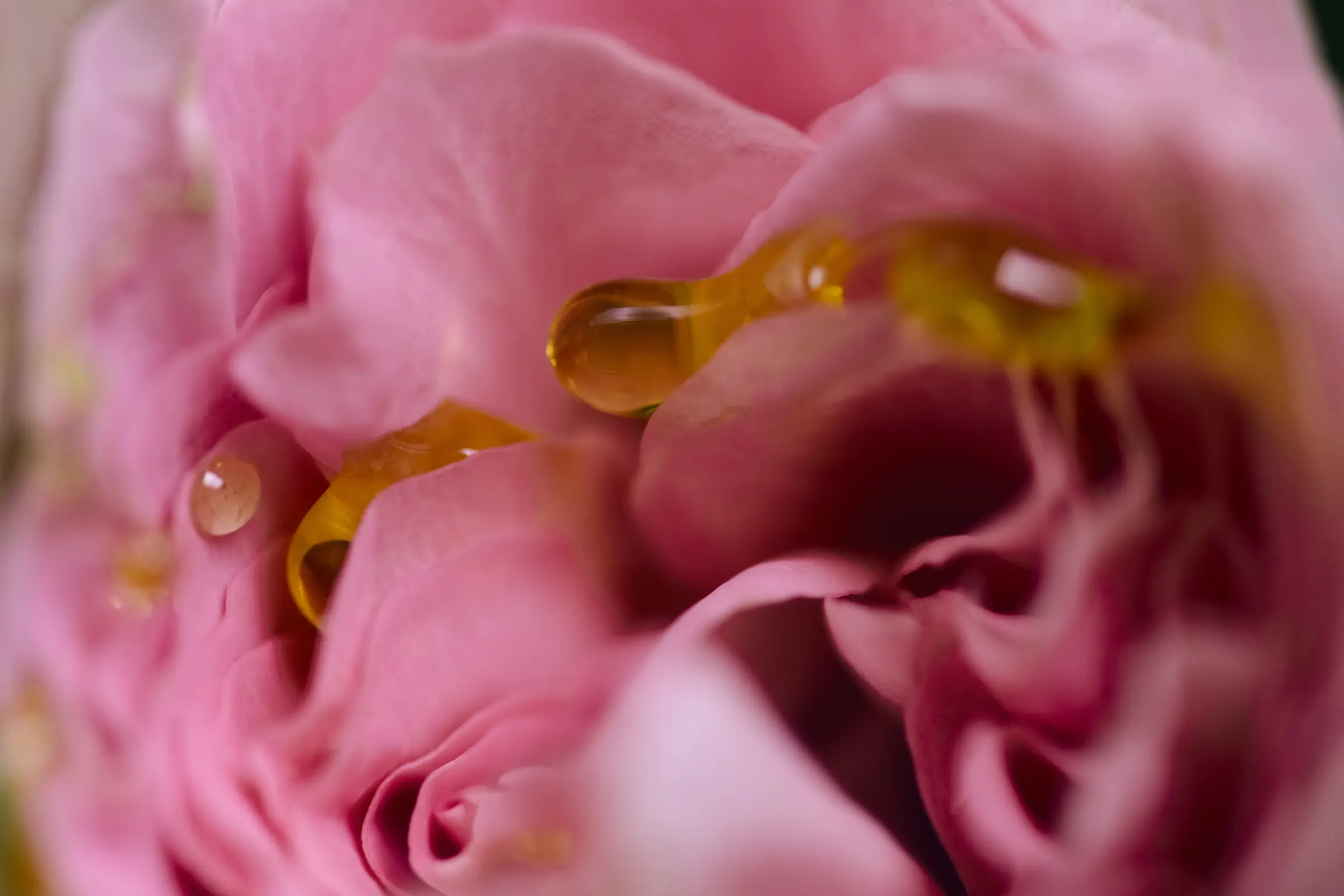 Photography by Sophie Jane Kirk