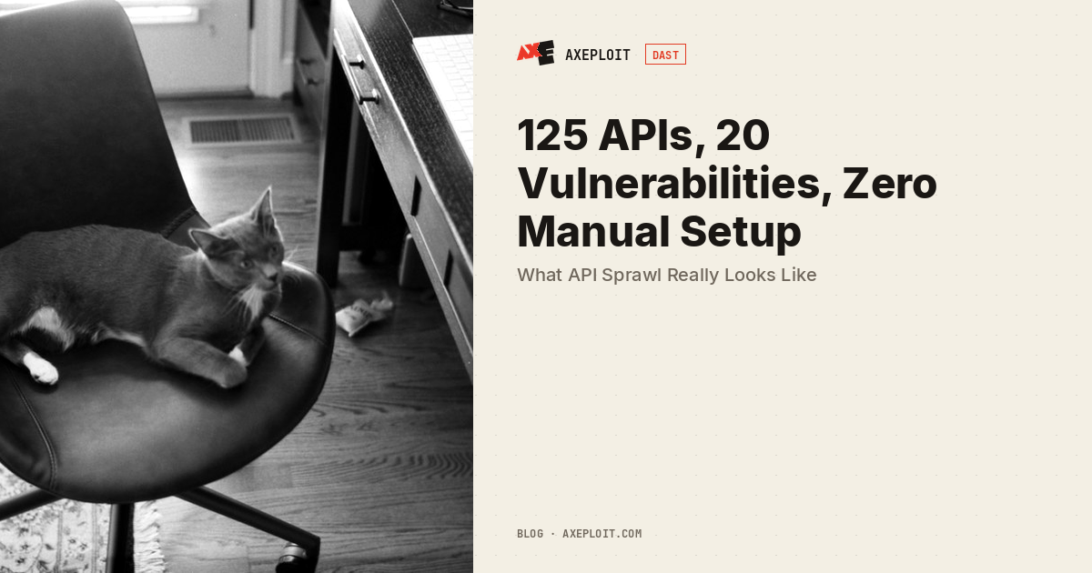 125 APIs, 20 Vulnerabilities, Zero Manual Setup: What API Sprawl Really Looks Like