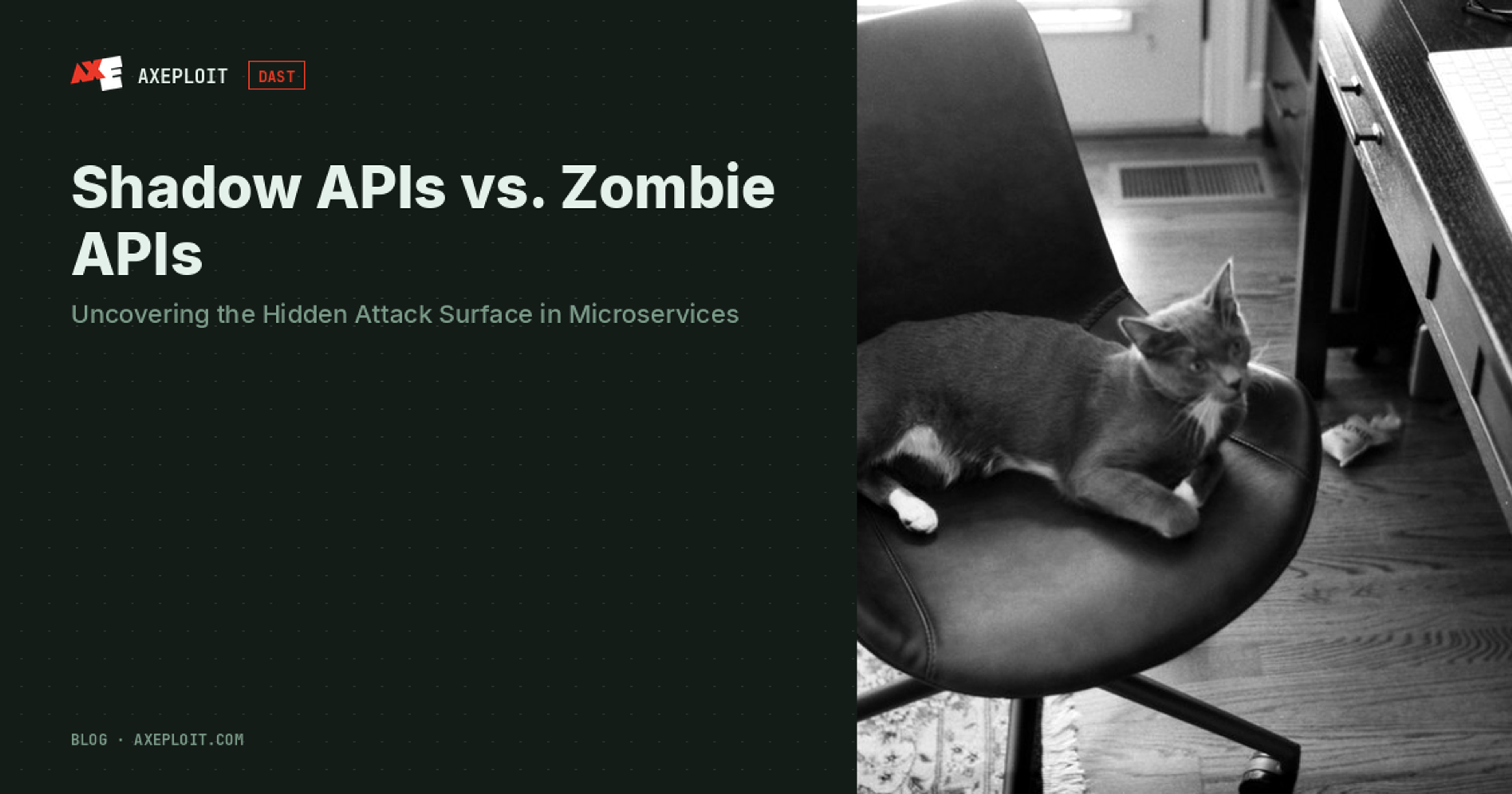 Shadow APIs vs. Zombie APIs: Uncovering the Hidden Attack Surface in Microservices