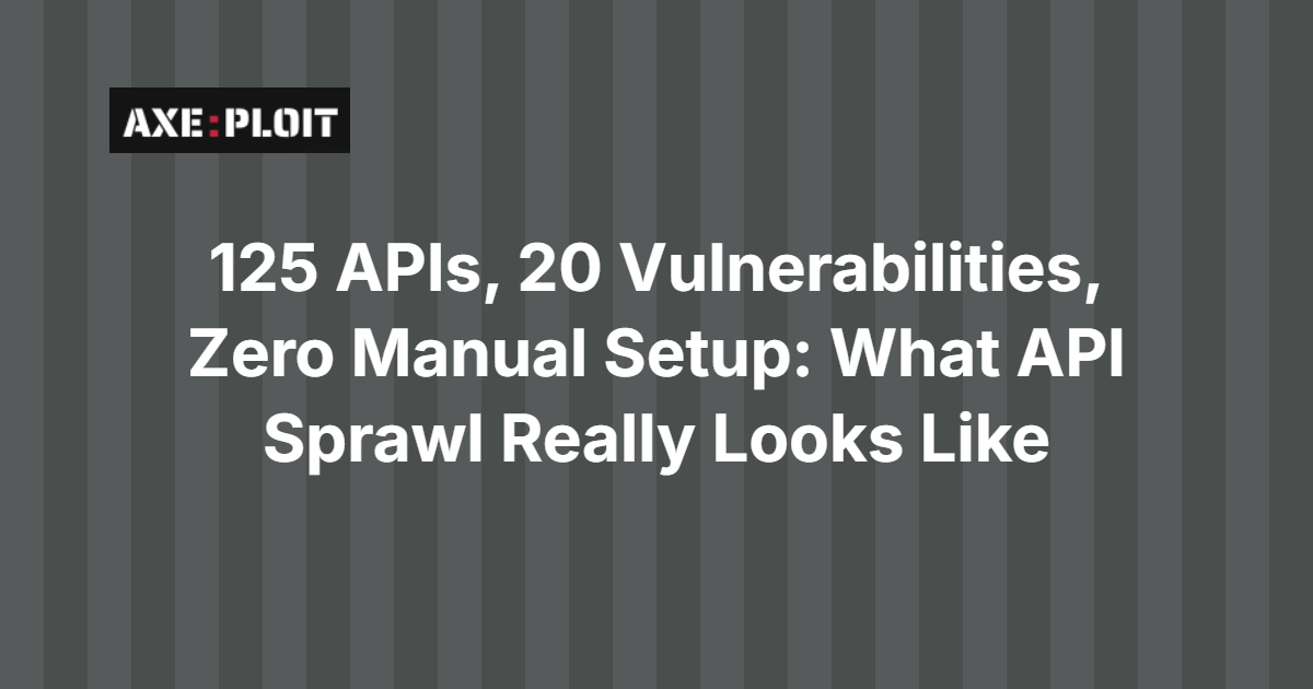 125 APIs, 20 Vulnerabilities, Zero Manual Setup: What API Sprawl Really Looks Like