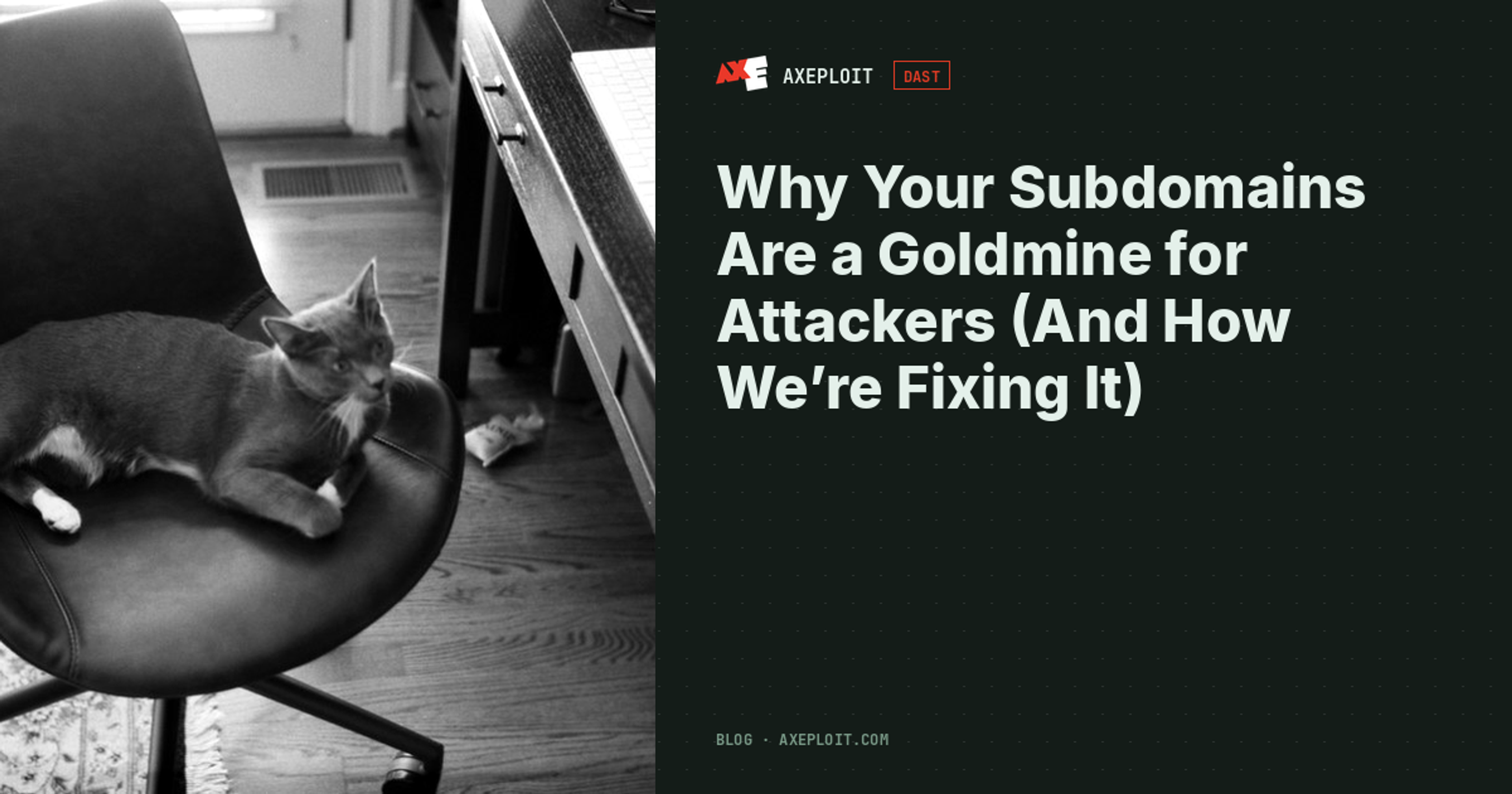 Why Your Subdomains Are a Goldmine for Attackers (And How We’re Fixing It)