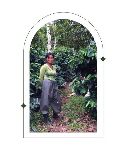 Photo of Day 2 | Ecuador Typica Maputo Rancho Tio Emilio Microlot - Red Rooster Coffee