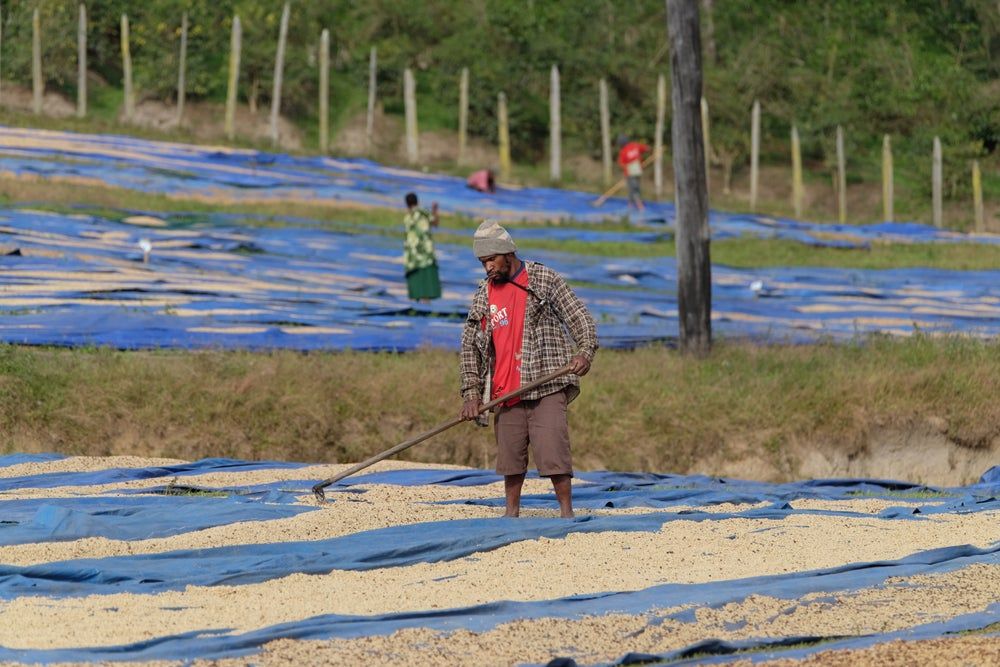 Bolivian Coffee – Grab Specialty Foods