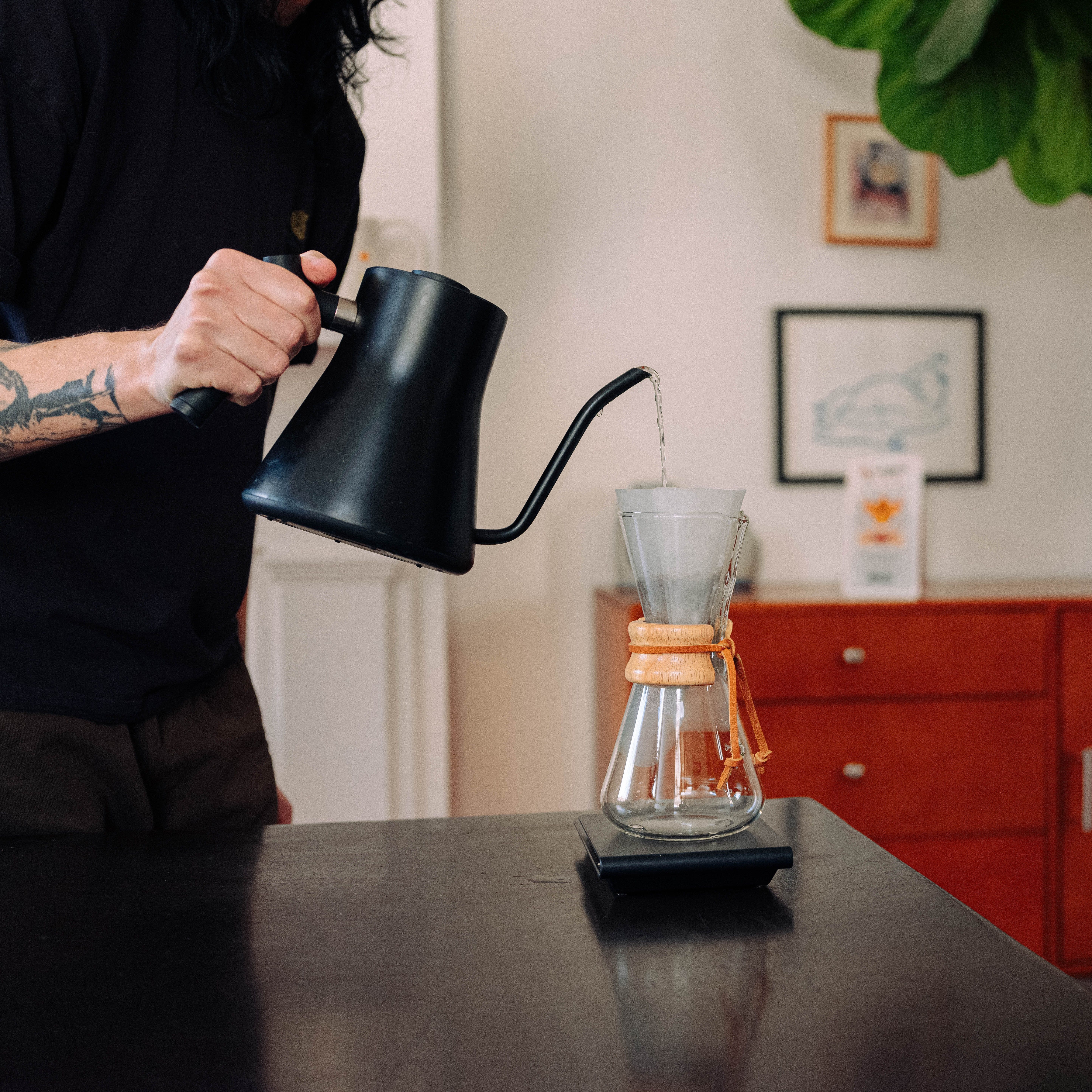 Fellow Stagg EKG Electric Kettle | Precision Pour Over Kettle