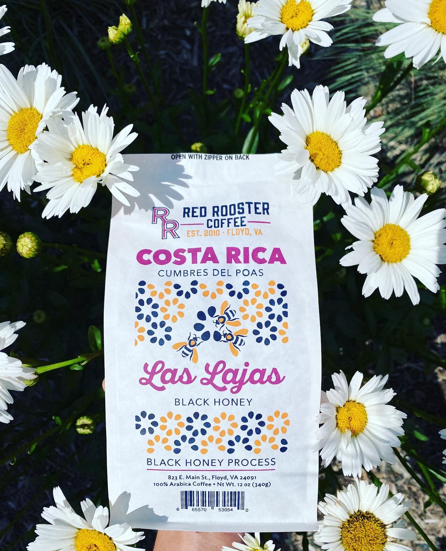 Costa Rica Las Lajas Black Honey Light-Medium Roast Black Honey
