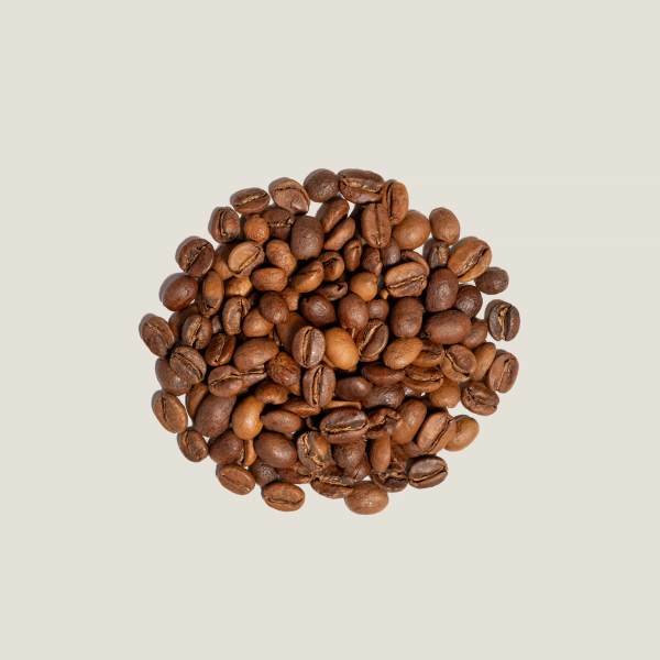 Ethiopia Worka Sakaro Anaerobic Natural Light Roast Single Origin