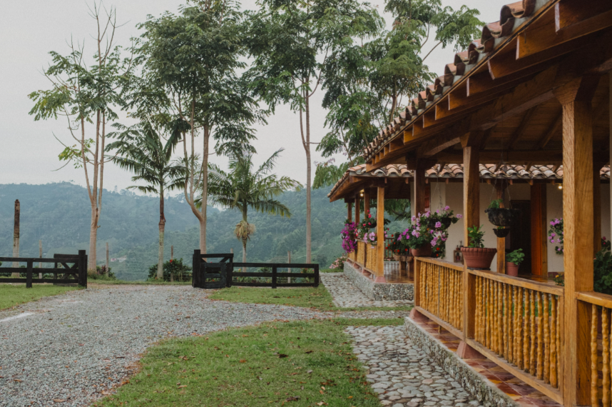 Colombia Lomaverde Chiroso Natural Light Roast Single Origin Coffee