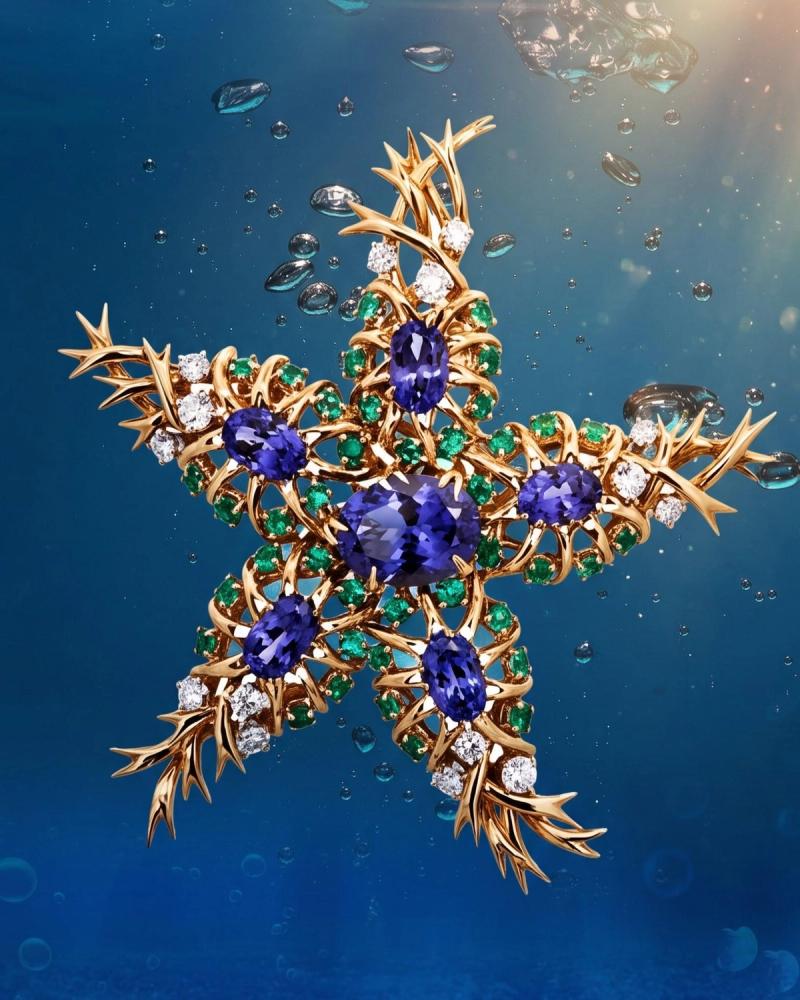 Tiffany & Co., Schlumberger, Seastar Brooch