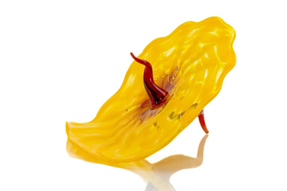 “Bel Fiore”, Dale Chihuly