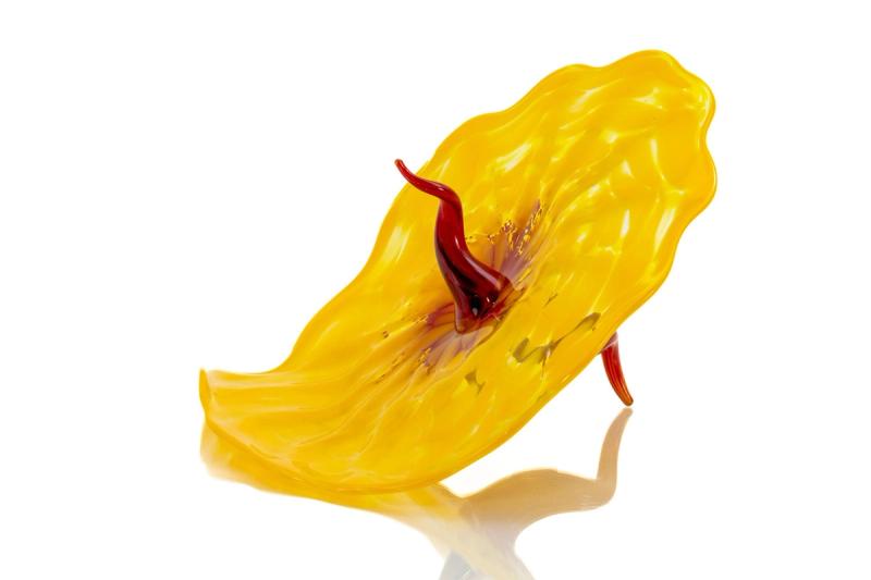 “Bel Fiore”, Dale Chihuly