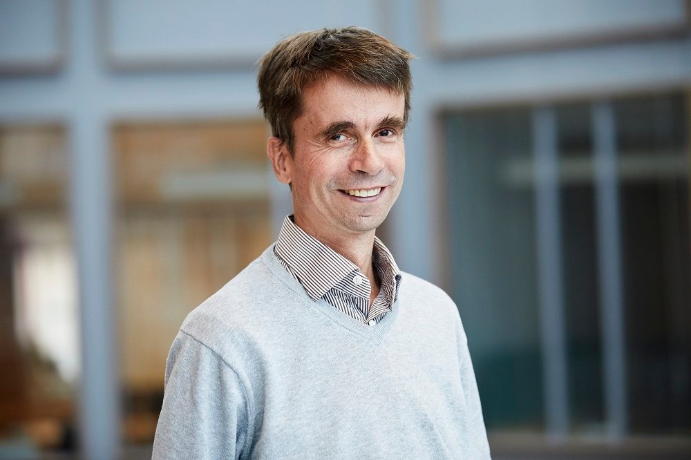 Person standing in a field of sunflowers