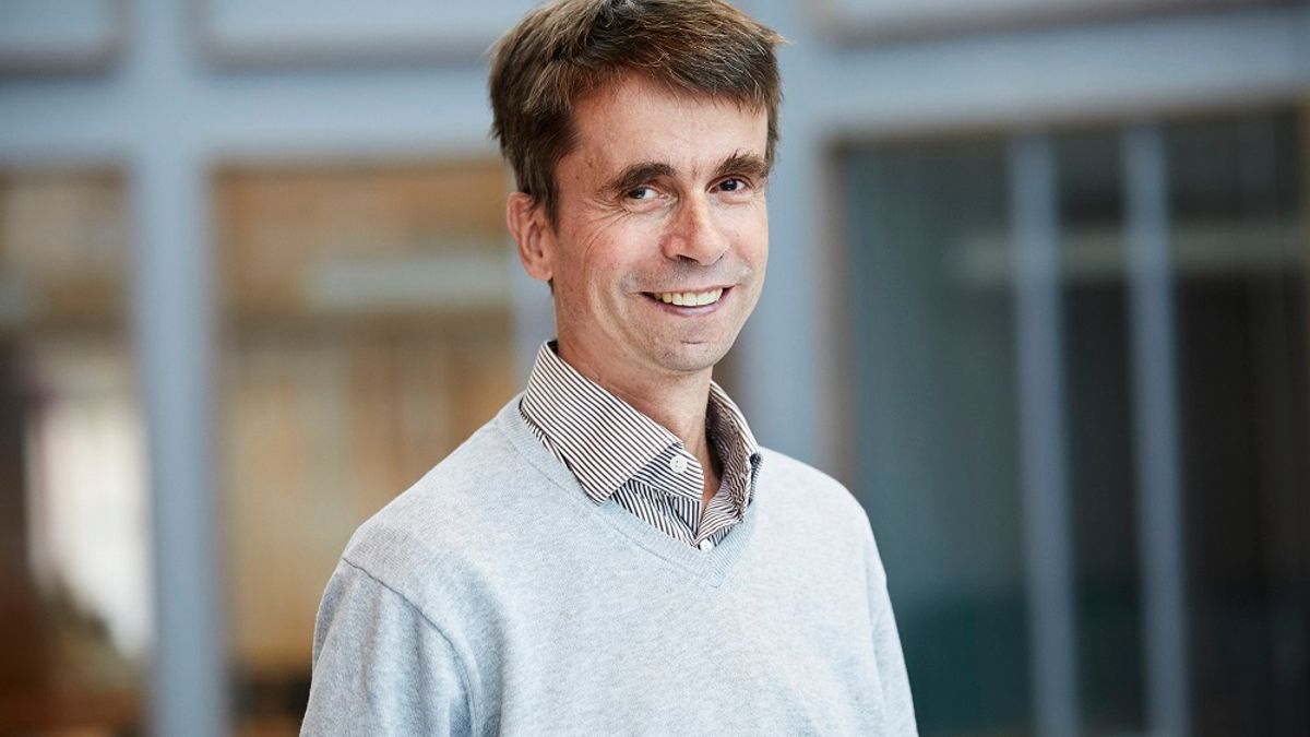 Person standing in a field of sunflowers