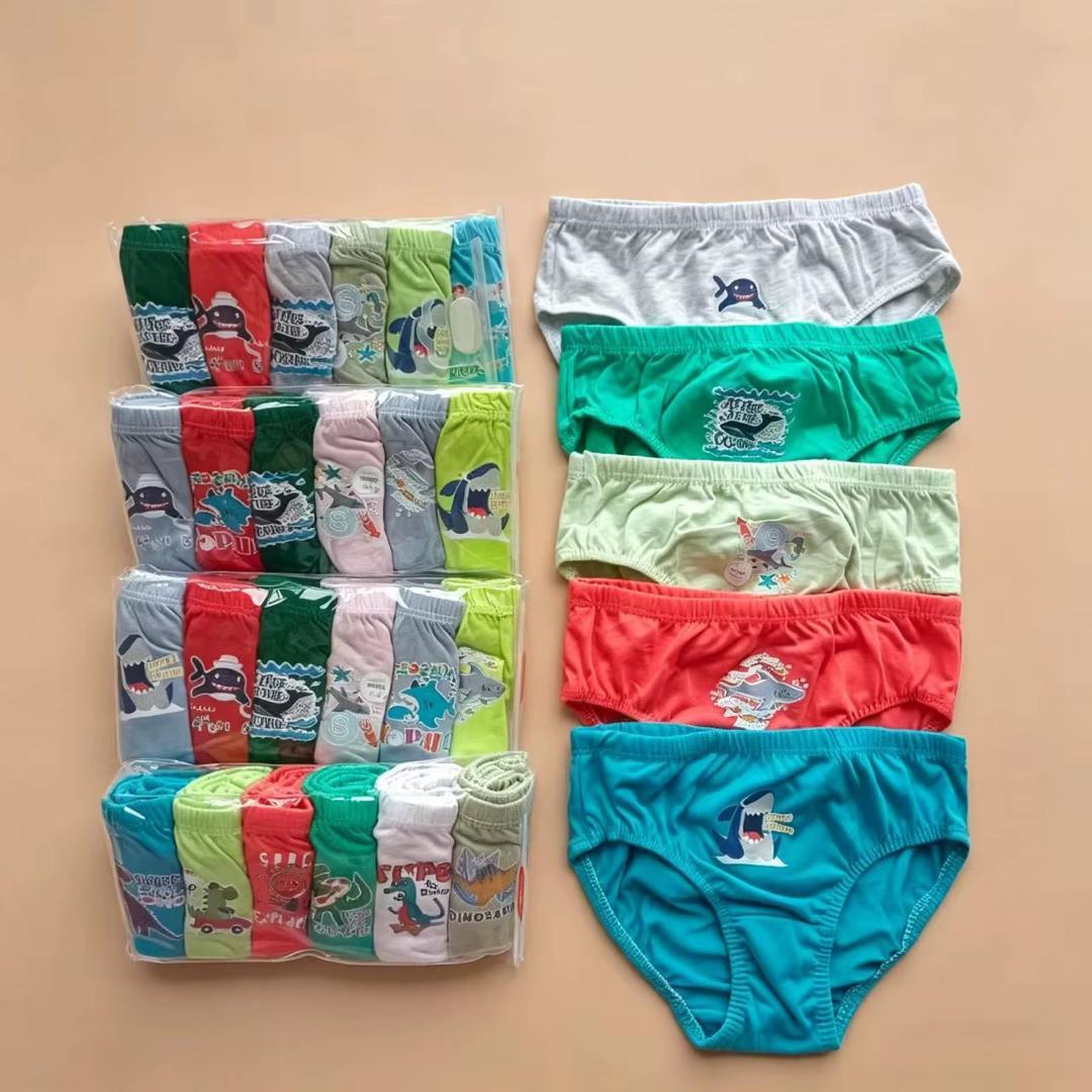 Boys' Assorted Cartoon Briefs Multipack (6 in 1)