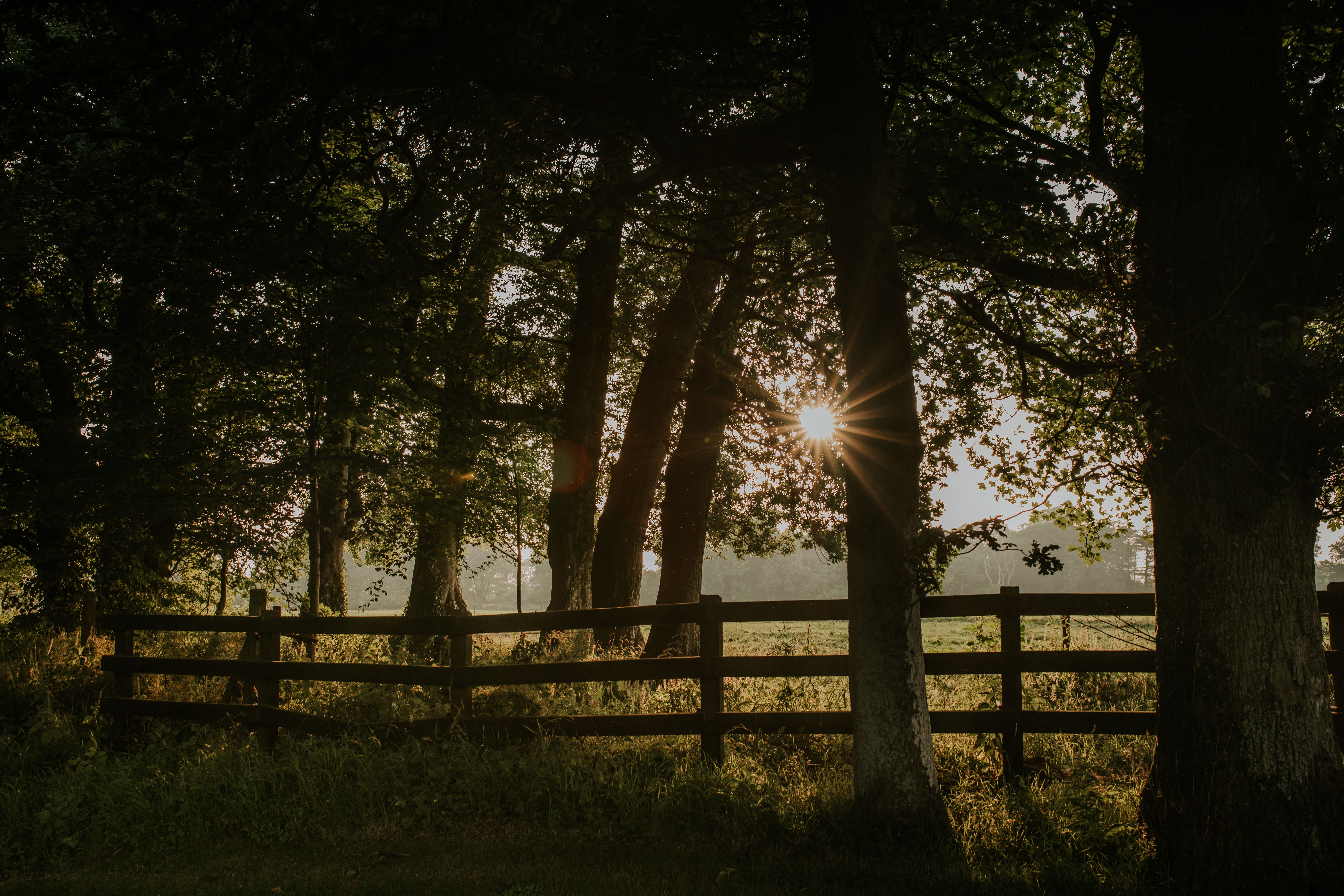 Killiane Castle Country House and Farm