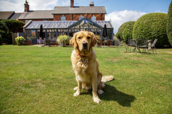 Dog friendly hotels with walks