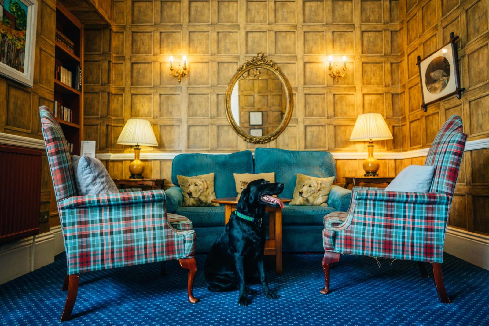 Best dog friendly hotels in North Wales