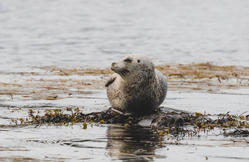 Another Place The Machrie