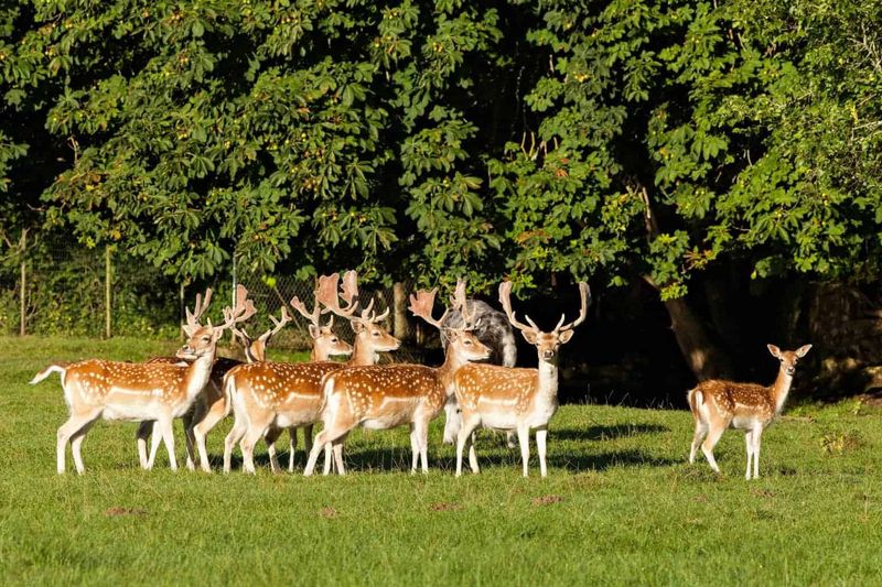 Chateau Sainte Sabine