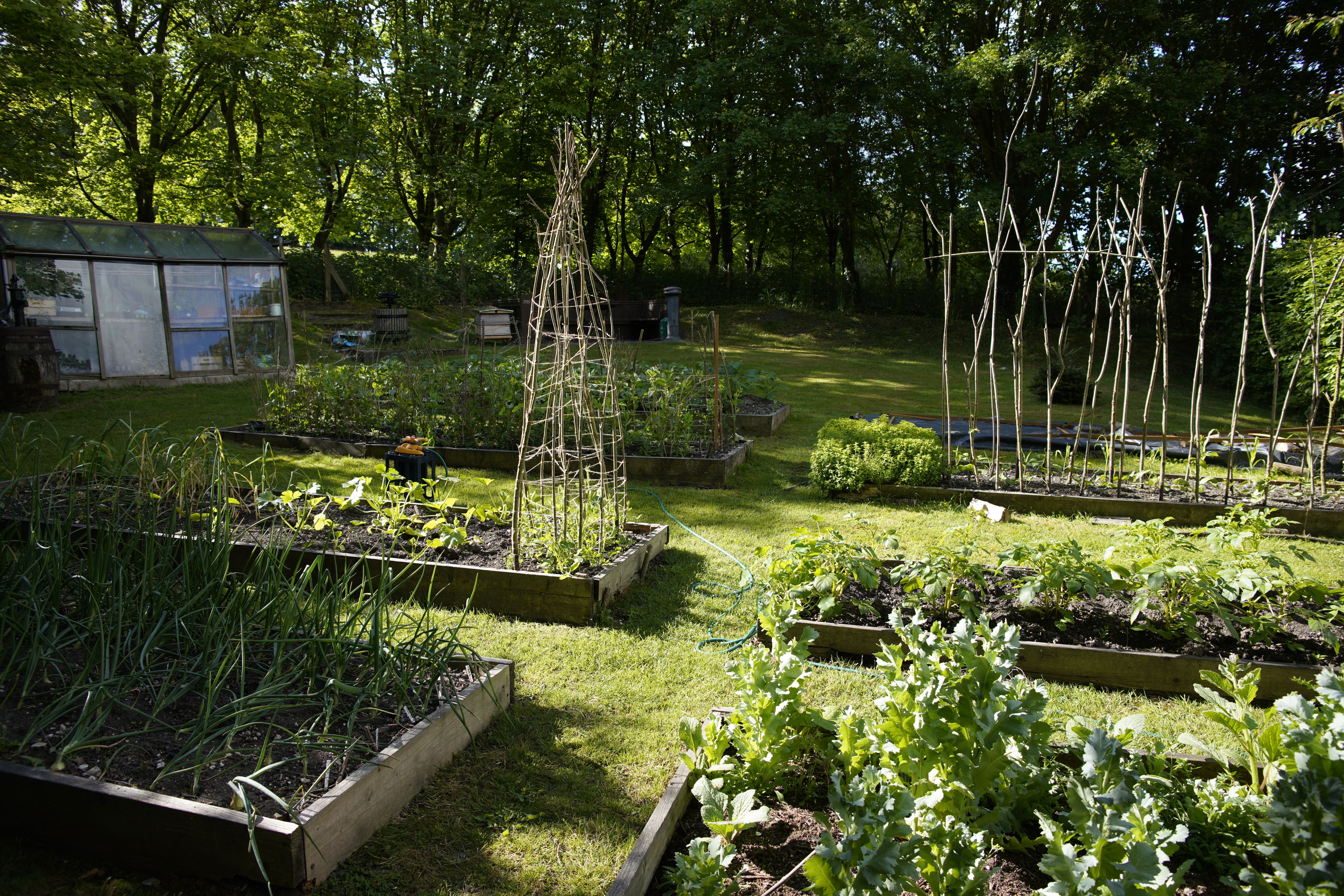 Red Lion at East Chisenbury