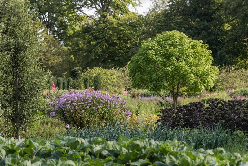 The Middleton Lodge Estate