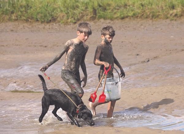 Best dog friendly hotels in North Norfolk