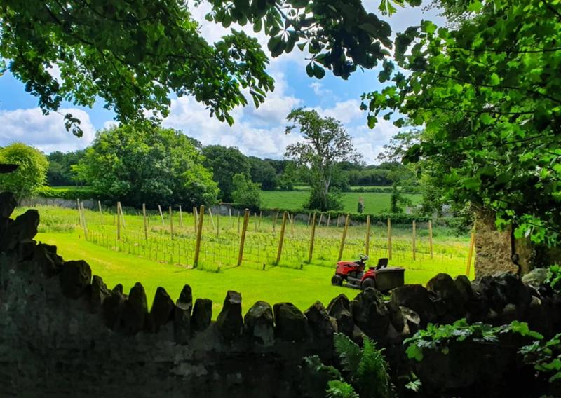 Plas Dinas Country House