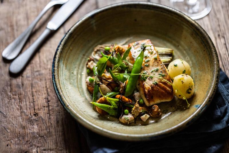 The Collective at Woolsery