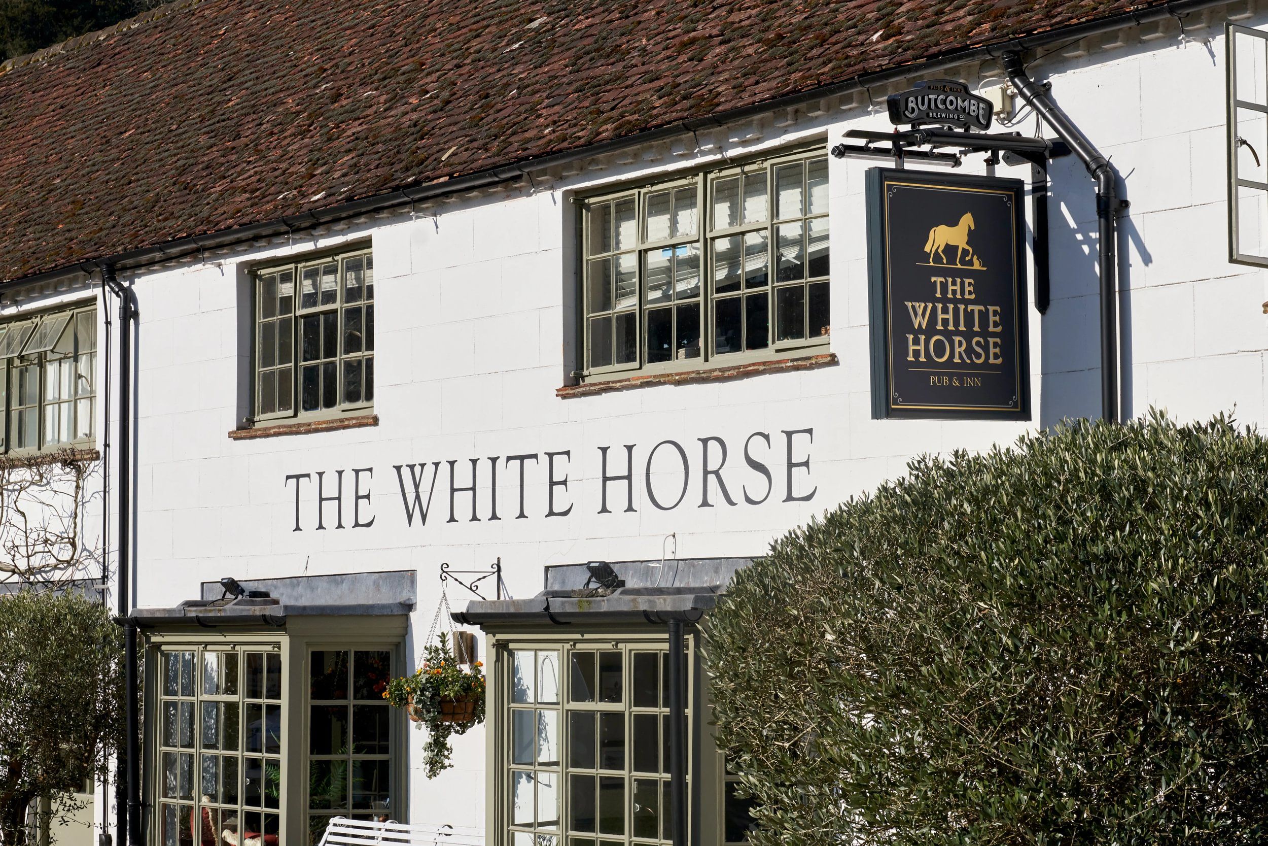 The White Horse