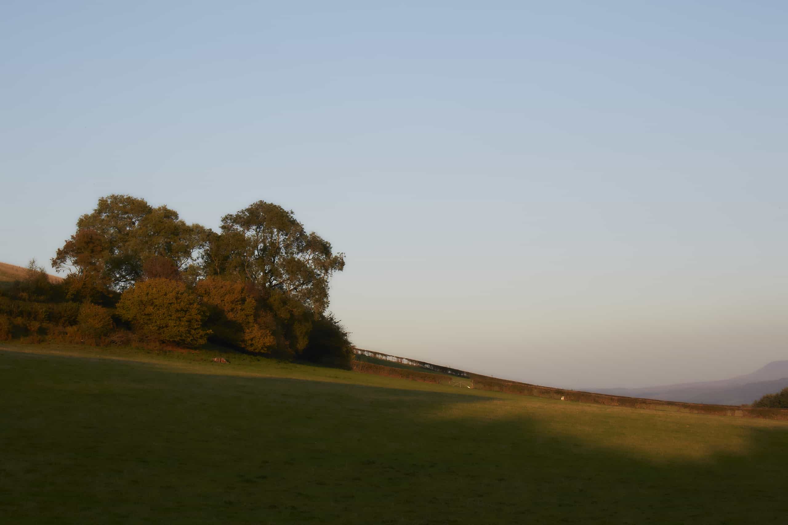 The Felin Fach Griffin